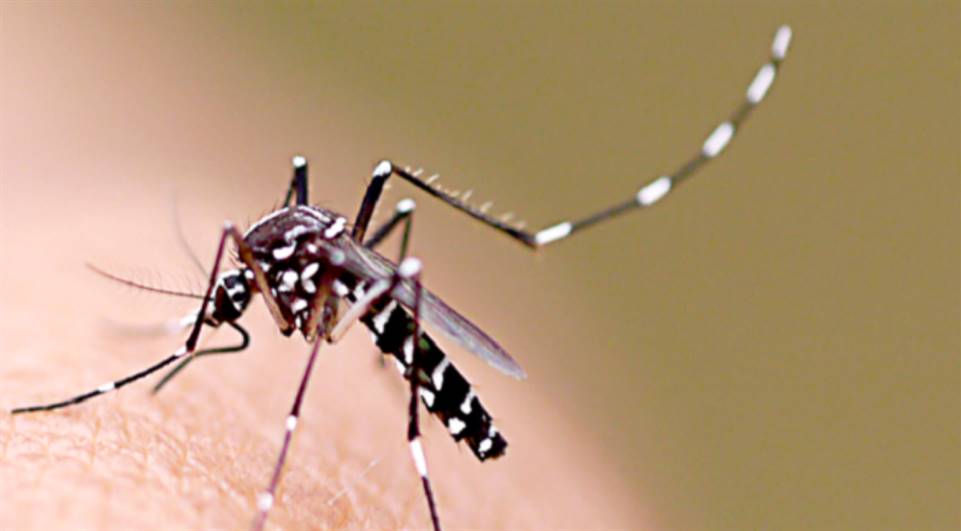 Prefeitura de São Caetano inova com nebulização veicular contra Aedes aegypti
