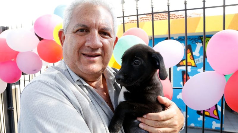 Em São Caetano, projeto quer incentivar a adoção de animais de rua